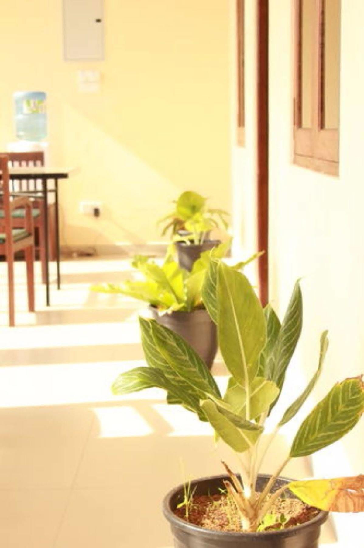 טיסמהרמה Pearl City Hotel מראה חיצוני תמונה